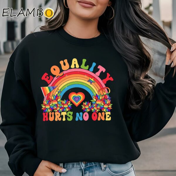 Equality Hurts No One Shirt LGBT Pride Gifts Sweatshirt Sweatshirt