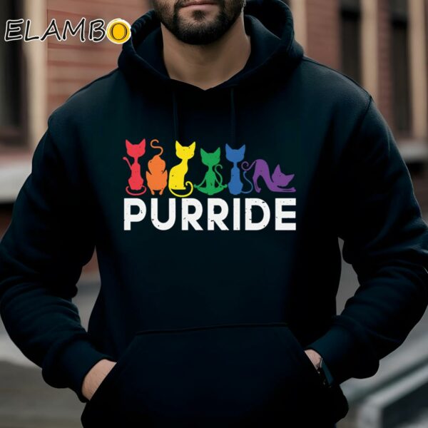Purride Cat Shirt Rainbow Pride Month Meme Hoodie Hoodie