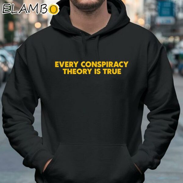 Every Conspiracy Theory Is True Shirt Hoodie 37