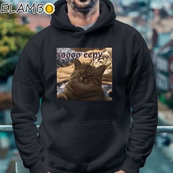 Soooo Eepy Cat Shirt Hoodie 4