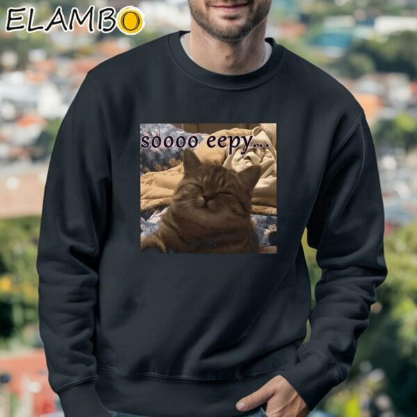 Soooo Eepy Cat Shirt Sweatshirt 3