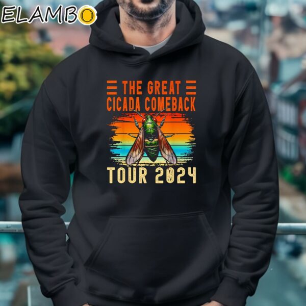 The Great Cicada Comeback Tour 2024 Vintage Shirt Hoodie 4