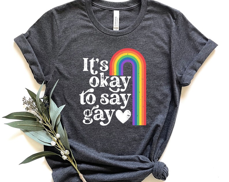 Its Okay To Say Gay Unisex T Shirt Cotton Tee TSE293.jpg